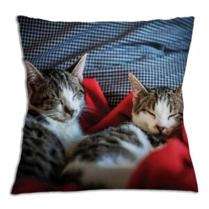 Μαξιλαράκια με κατοικίδια - Cat Lover