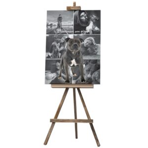 Καμβάς με Κατοικίδιο - Τέλειο Δώρο για Φιλόζωους