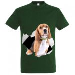 sols-imperial-11500-bootle-green_2