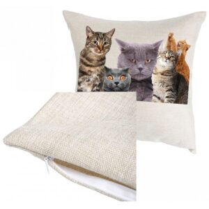 Μαξιλαράκια με κατοικίδια - Cats Lover
