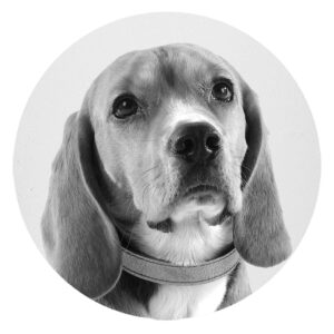 Σουβέρ Προσωπ/να Σε Διάφορα Υλικά - Dog Lover