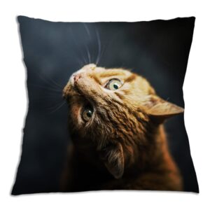 Μαξιλαράκια με κατοικίδια - Cat Lover