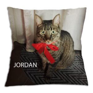 Μαξιλαράκια με κατοικίδια - Jordan