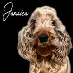 PET canvas_01