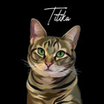 PET canvas_16