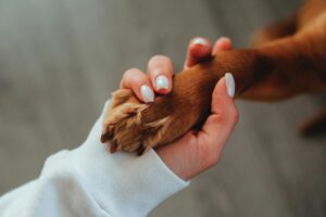 Μαξιλαράκια με κατοικίδια - Dog Lover
