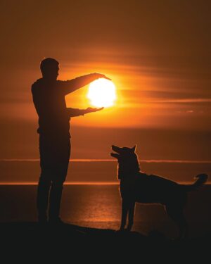 Μαξιλαράκια με κατοικίδια - Dog Lover