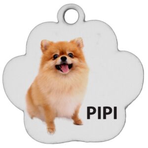 Ταυτότητες Κατοικίδιων Προσωπ/νες - Pipi