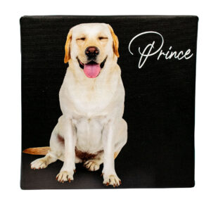 Φωτογραφίες σε Καμβά - Prince