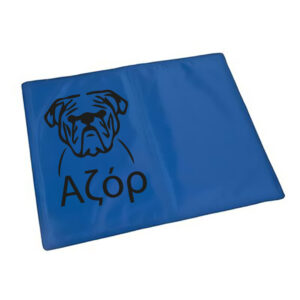 Πατάκι Εσωτερικού Χώρου Προσ/νο - Αζόρ