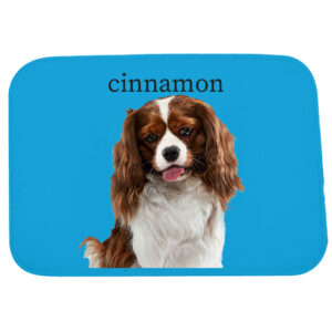 Πατάκι με Φωτογραφία Εσωτερικού Χώρου - Cinnamon