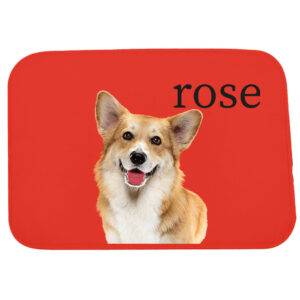 Πατάκι με Φωτογραφία Εσωτερικού Χώρου - Rose