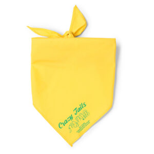 Παιδική Μπαντάνα με Όνομα – Custom Bandana